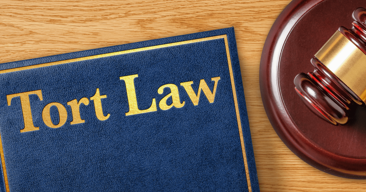 Civil Tort Law What Is Tort Law LegalMatch